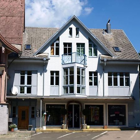 Zwinglis Ferienwohnung Nesslau Exteriér fotografie