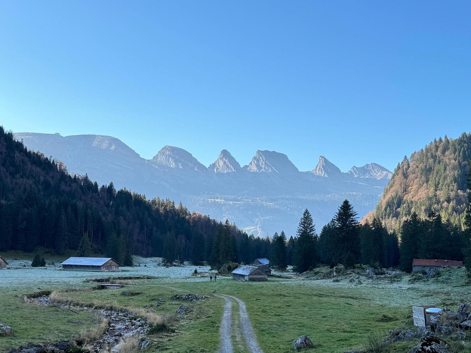 Zwinglis Ferienwohnung Nesslau Exteriér fotografie
